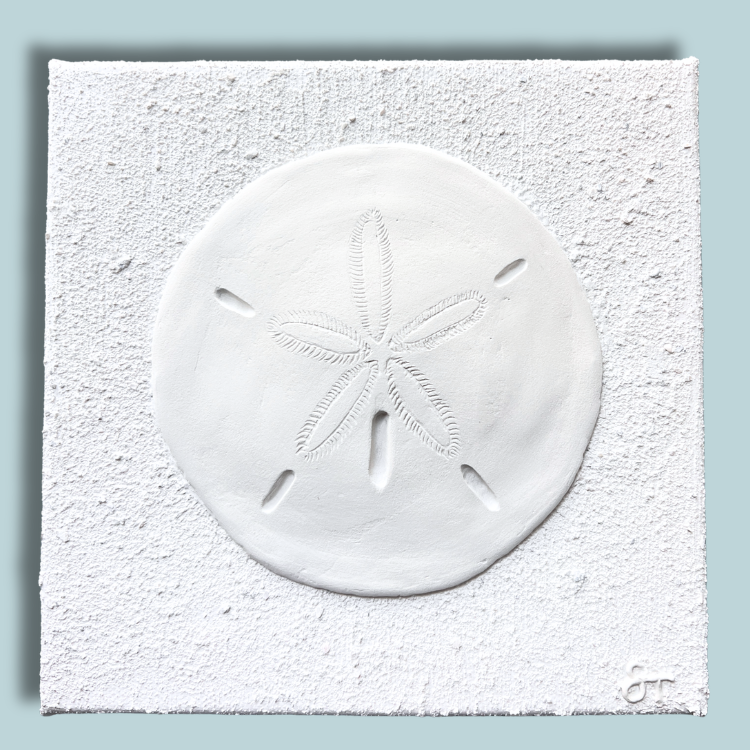 AMI Sand Dollar