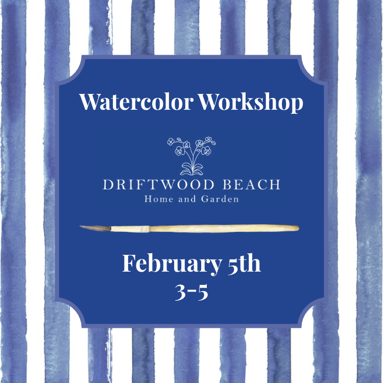 Watercolor Workshop Driftwood Beach 2/5