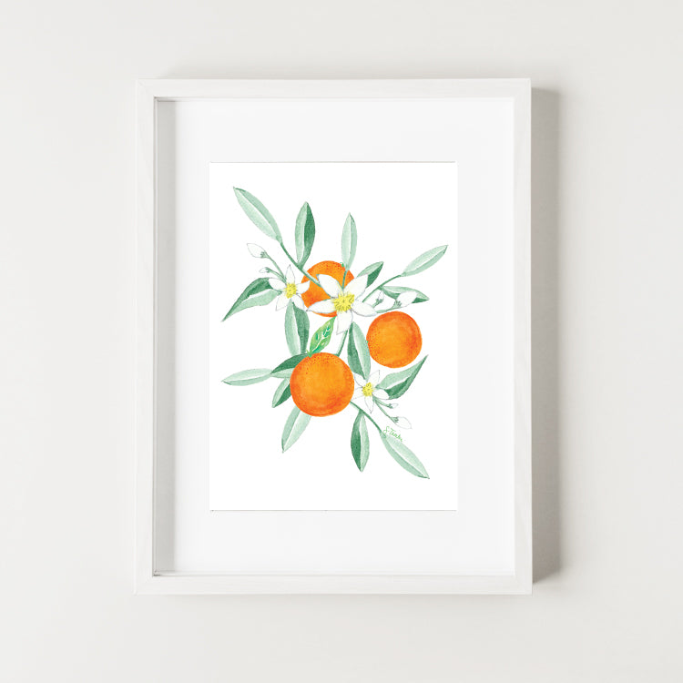 Florida Citrus Fine Art Print