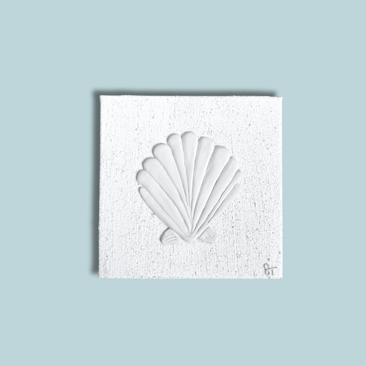 AMI Scallop Shell