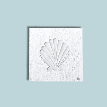 AMI Scallop Shell