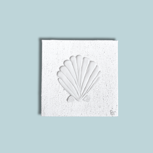 AMI Scallop Shell