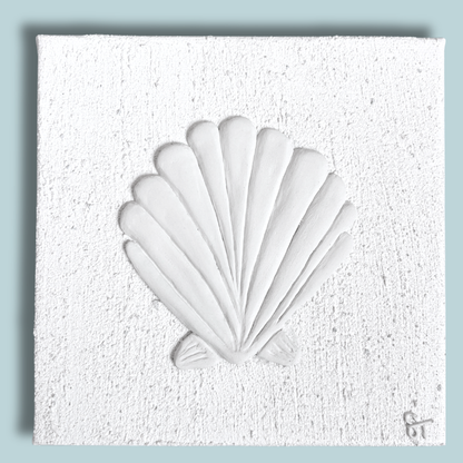 AMI Scallop Shell