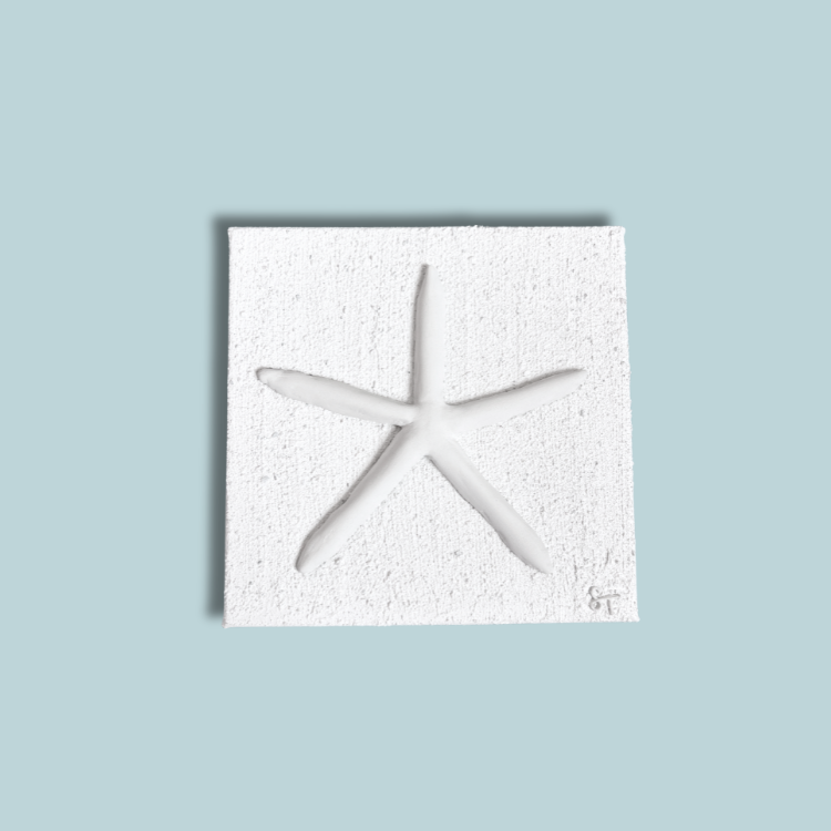 AMI Sea Star