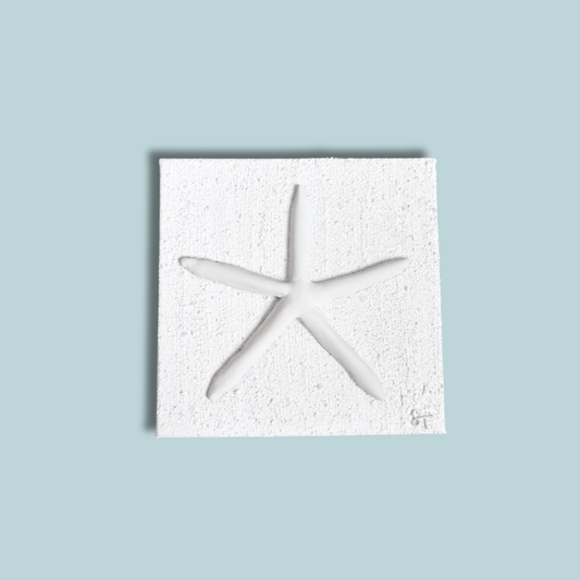 AMI Sea Star