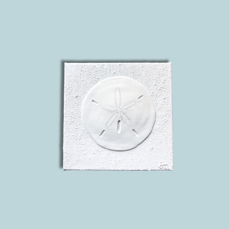AMI Sand Dollar
