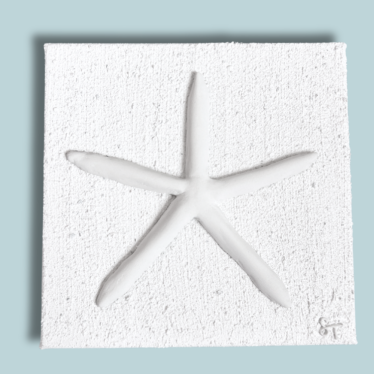 AMI Sea Star