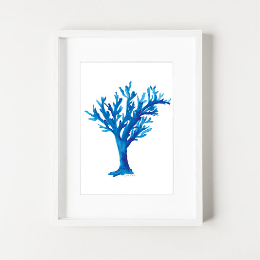 Blue Coral Print